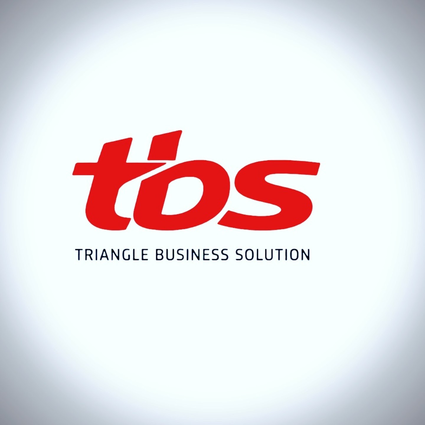 Triangle Business Solution Logo